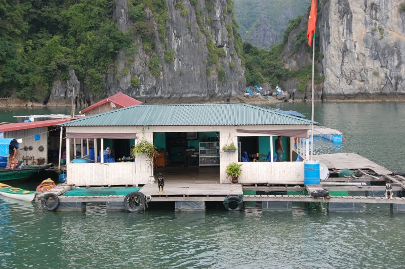 halong-en-cat-ba-100