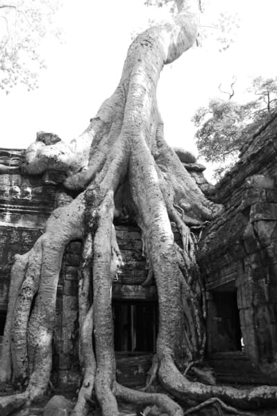 siem-reap-126