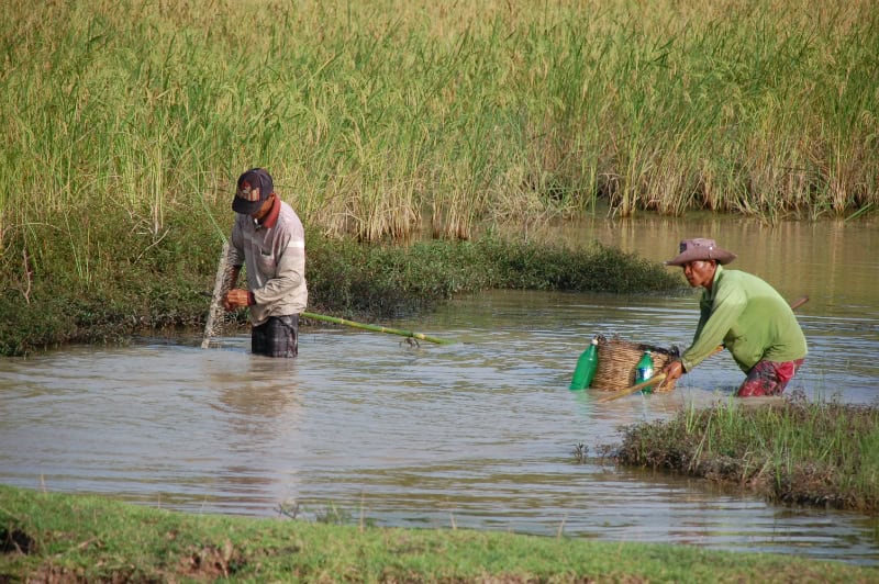 kampot-22